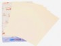 Xerox Colotech Plus Natural White A4, 100 г/м<sup>2</sup> (003R97102)