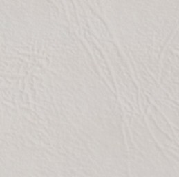 Xerox Leather Embossed White SRA3 дизайнерская текстурированная (Кожа), 240 г/м<sup>2</sup> (450L80007)