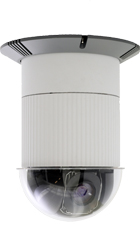 AXIS 231D Купольная сетевая камера