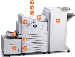 Xerox Phaser 5550 в максимальной конфигурации